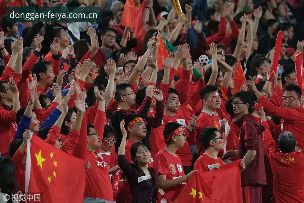 飞亚体育登录入口中国足球数据常见问题详解